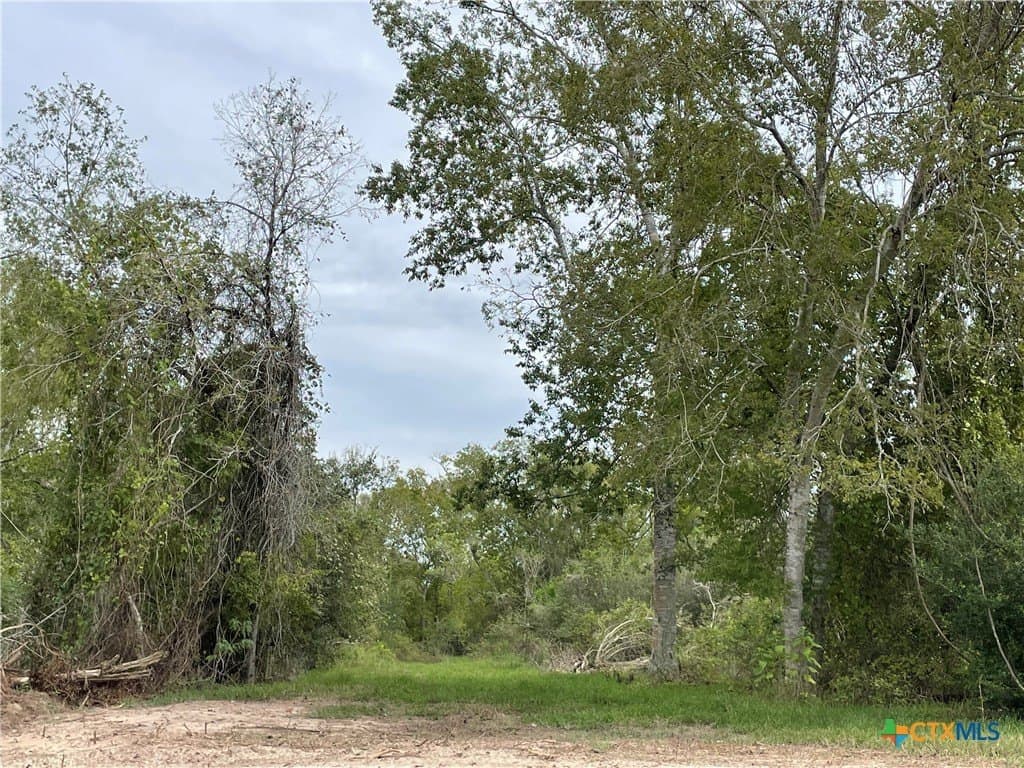 5.01 acres in Victoria County gallery image 3