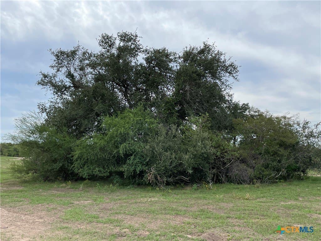 5.01 acres in Victoria County - photo 10