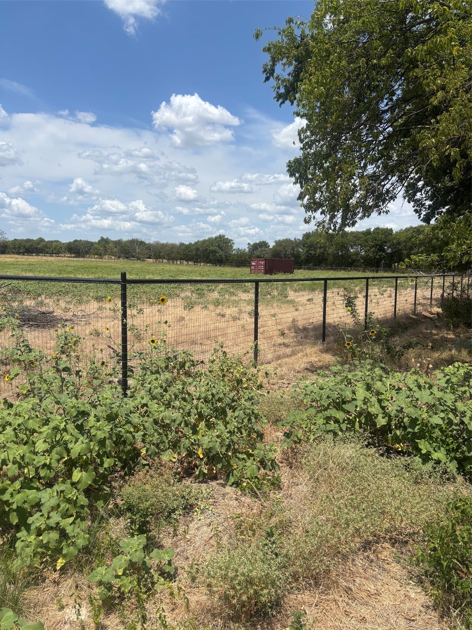10.1 acres in Denton County - photo 2
