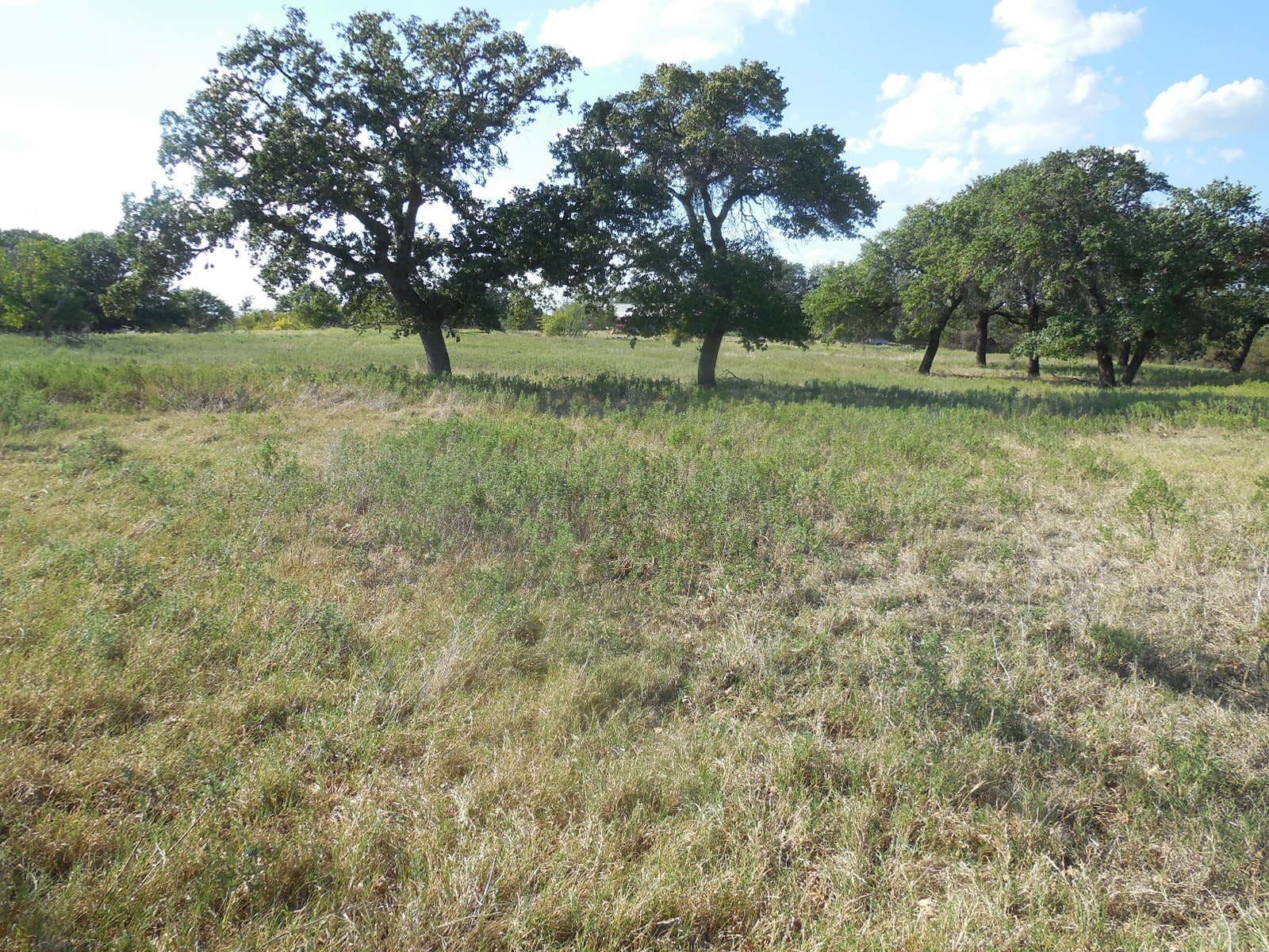6.03 acres in Eastland County - photo 28