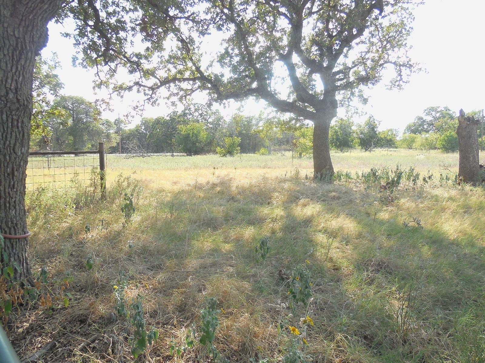 6.03 acres in Eastland County - photo 24