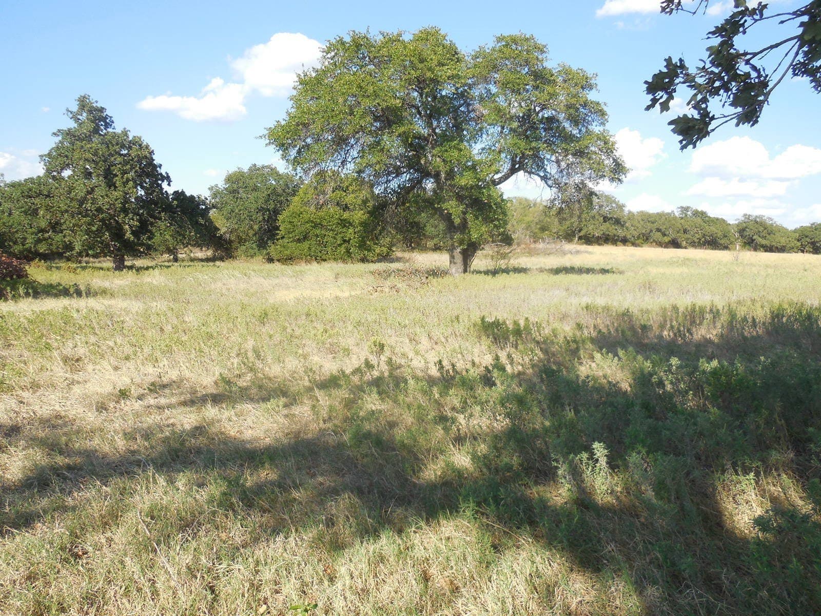 6.03 acres in Eastland County - photo 27