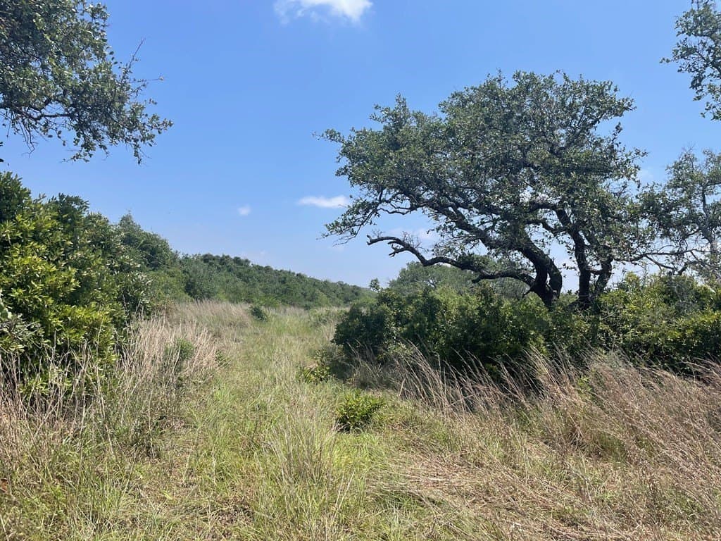 100,000 acres in San Patricio County - photo 3