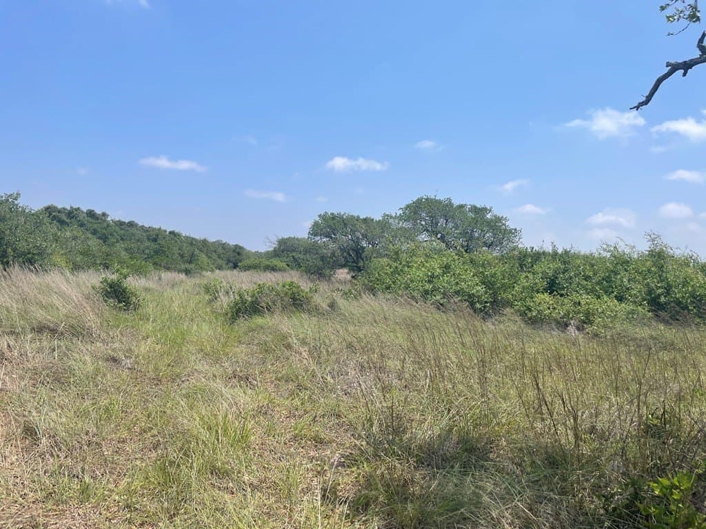 100,000 acres in San Patricio County - photo 2