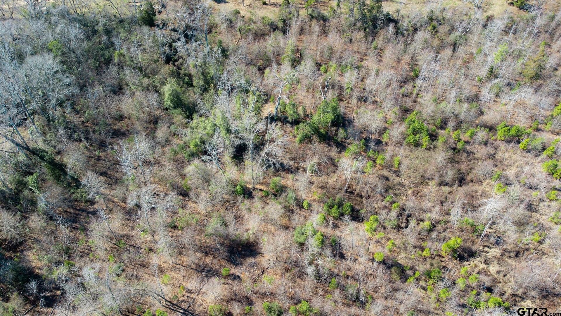 5.03 acres in Cherokee County - photo 23