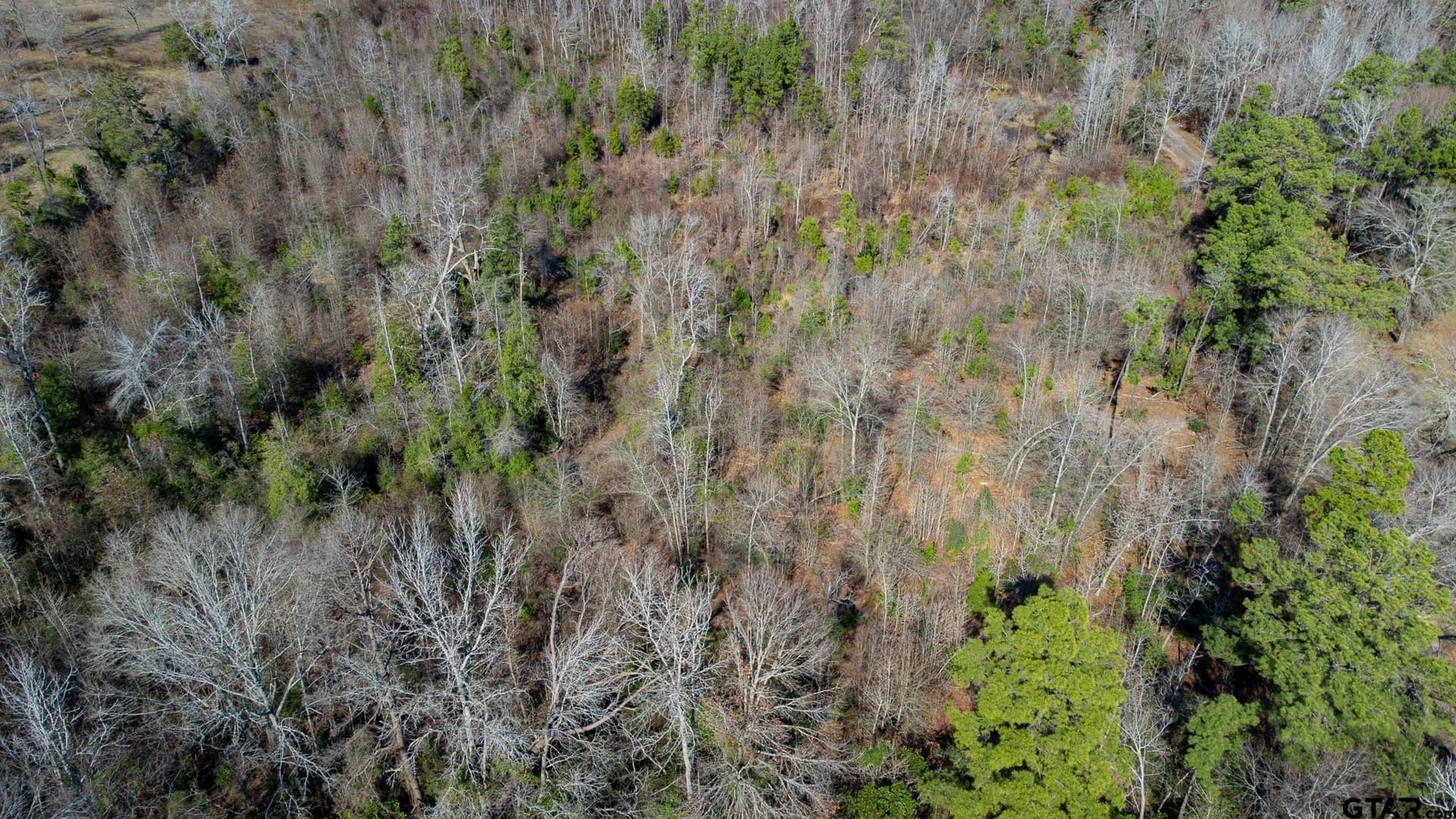 5.03 acres in Cherokee County - photo 25