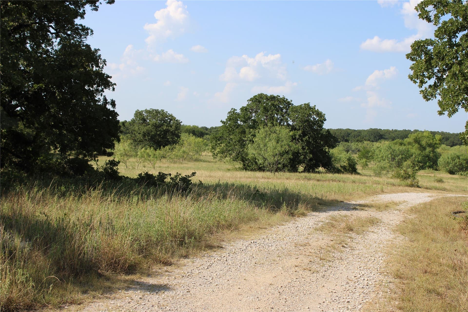 12 acres in Wise County - photo 6