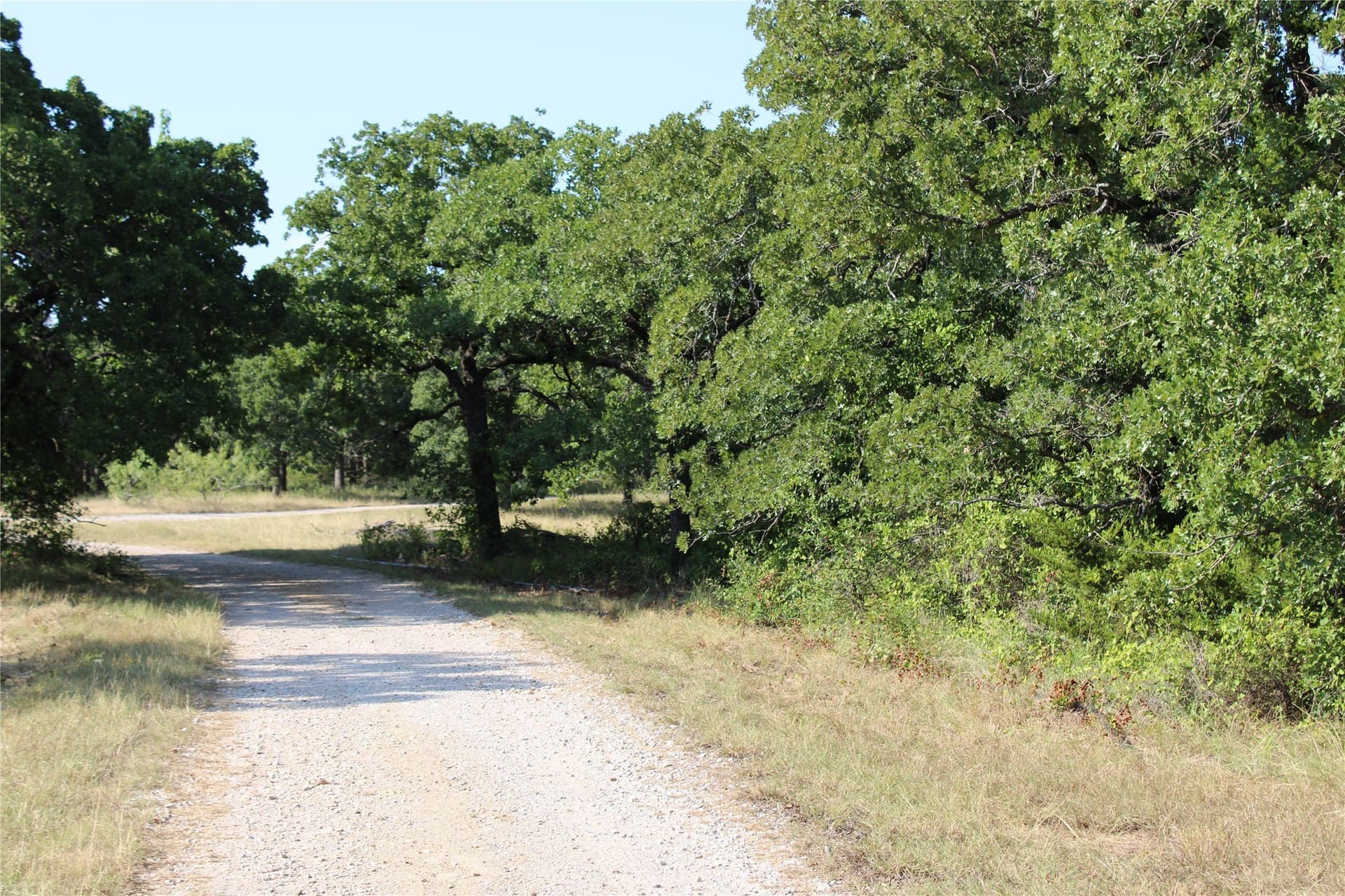 12 acres in Wise County - photo 11