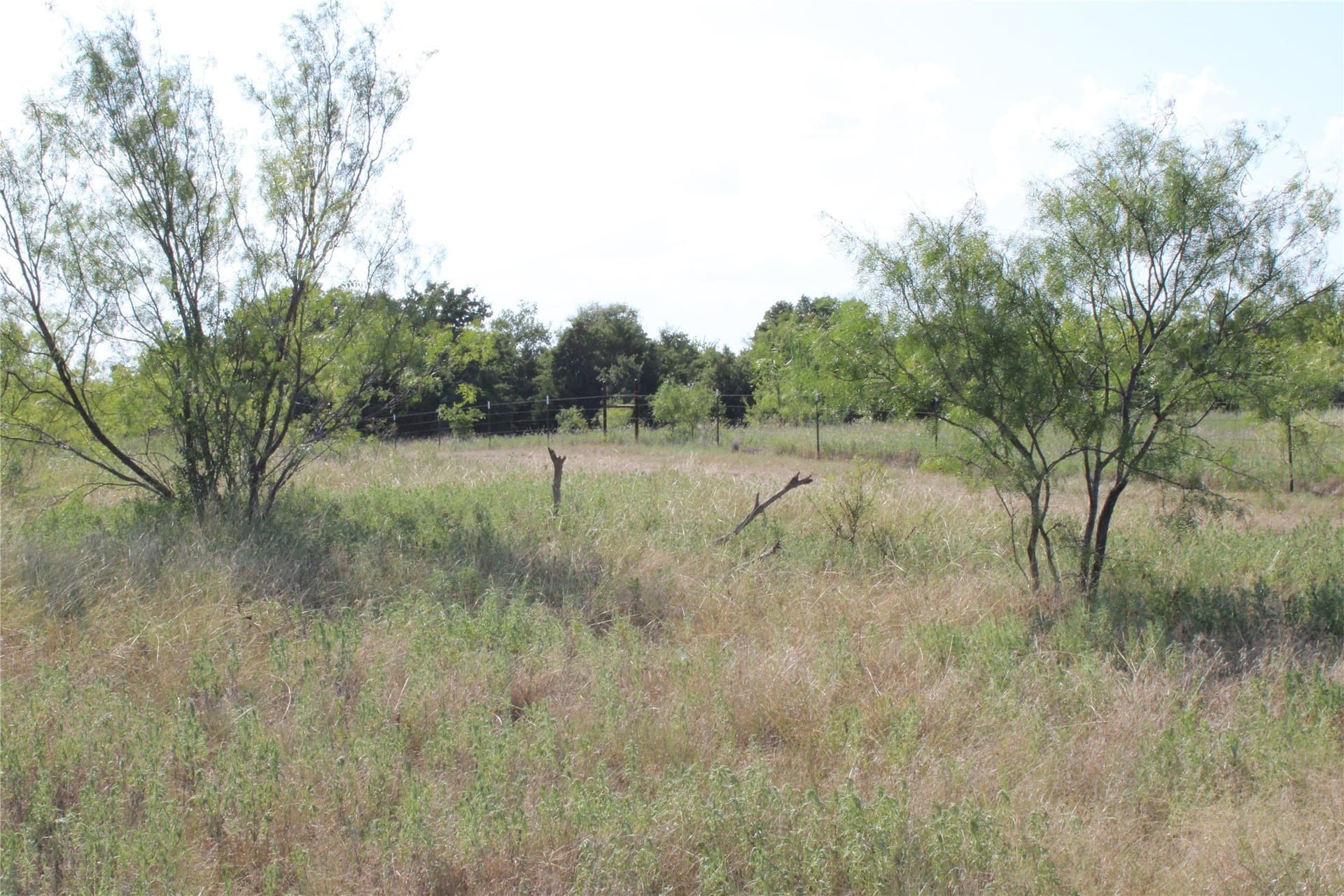 12 acres in Wise County - photo 8