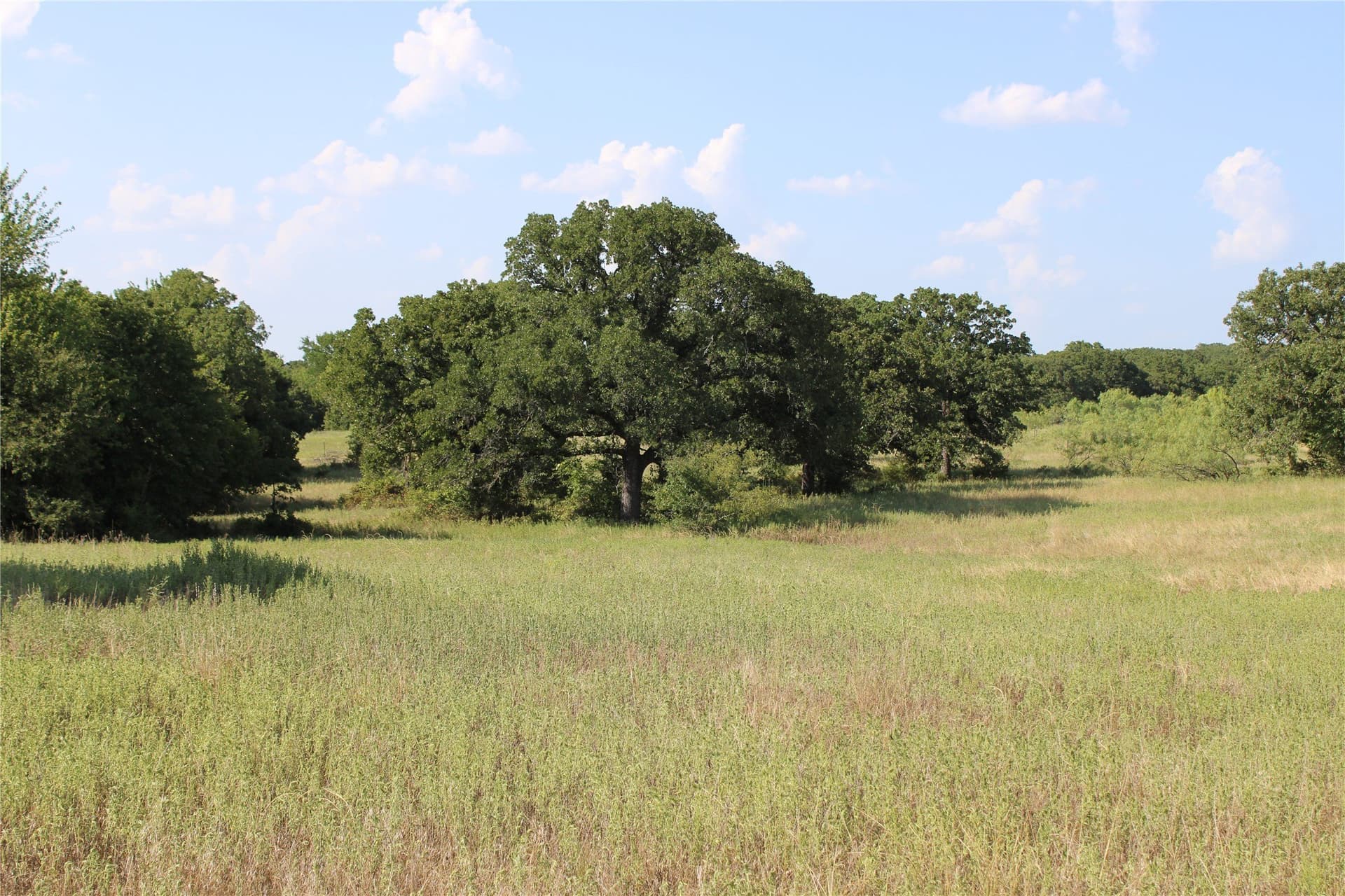 12 acres in Wise County - photo 7
