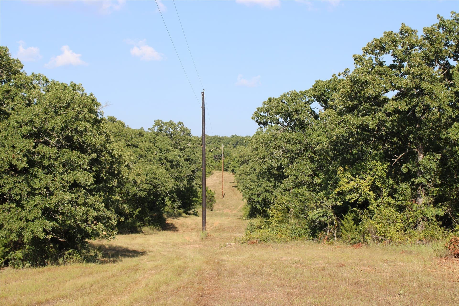 12 acres in Wise County - photo 9