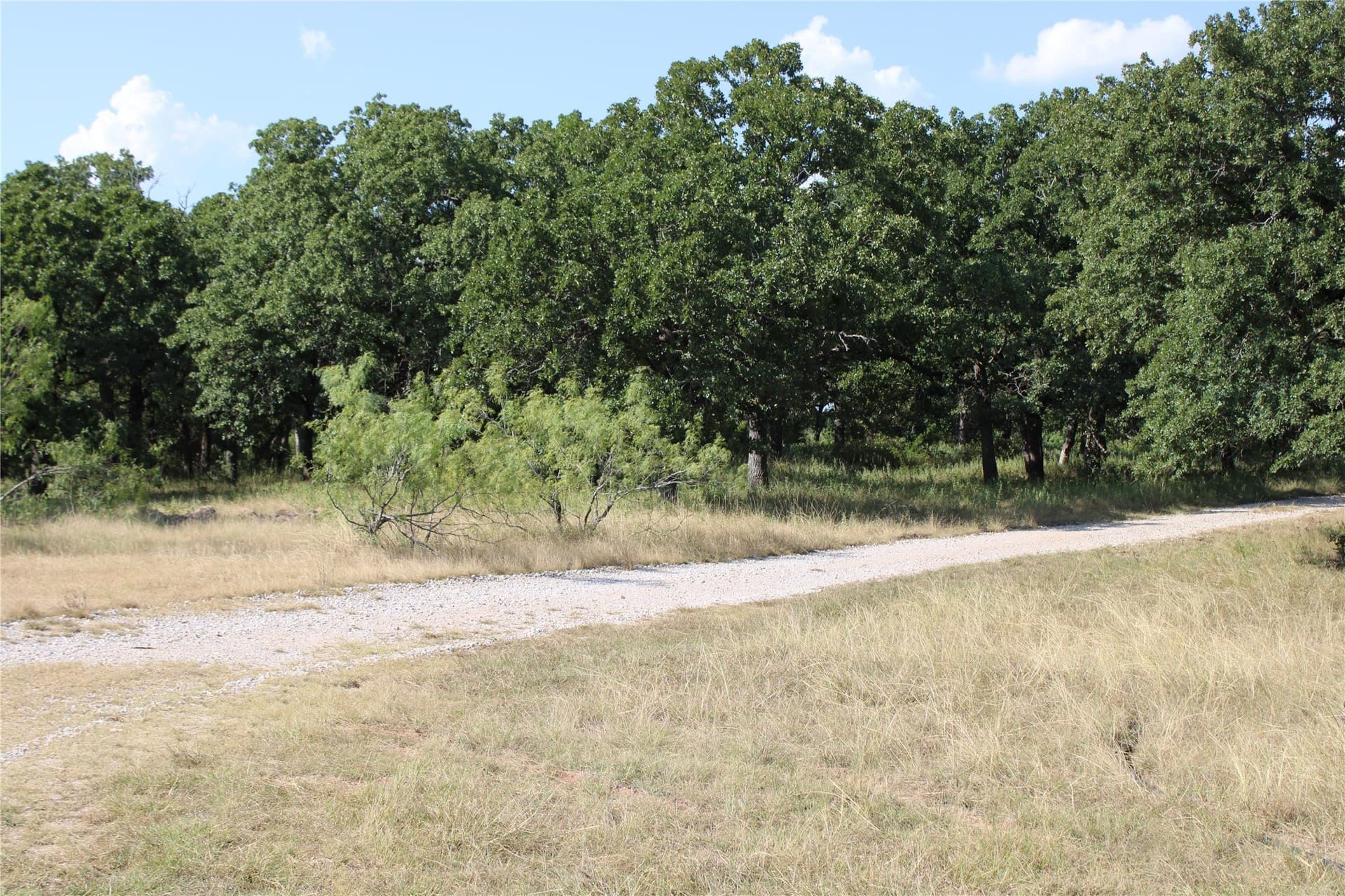 12 acres in Wise County - photo 5