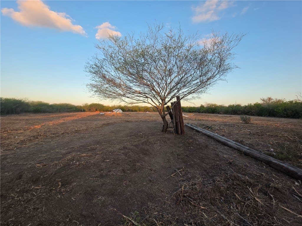 7.54 acres in Jim Wells County gallery image 2