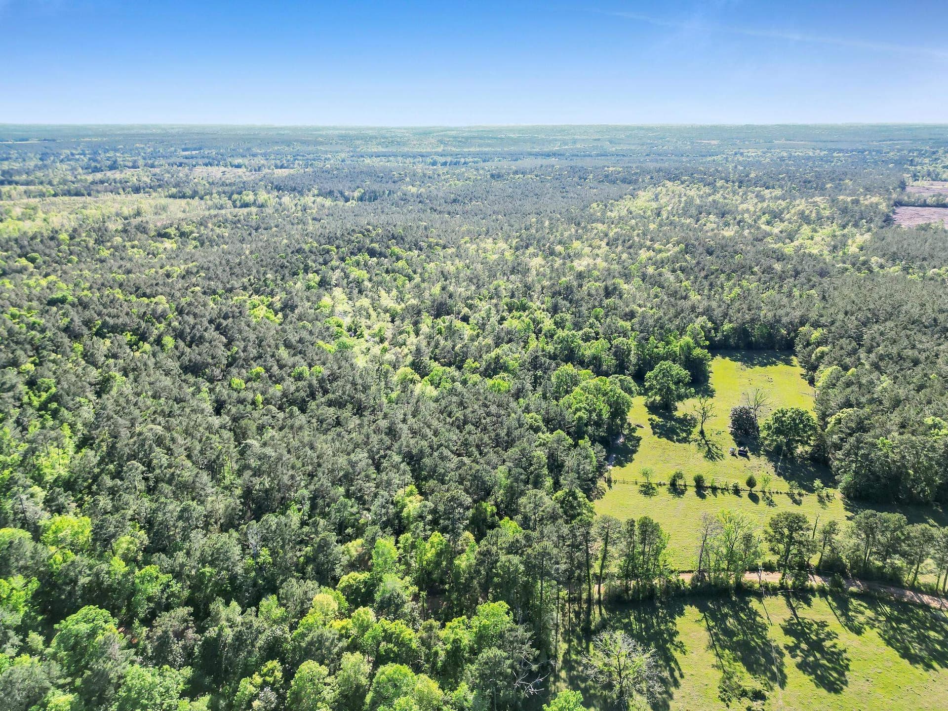 108 acres in Texas County featured view