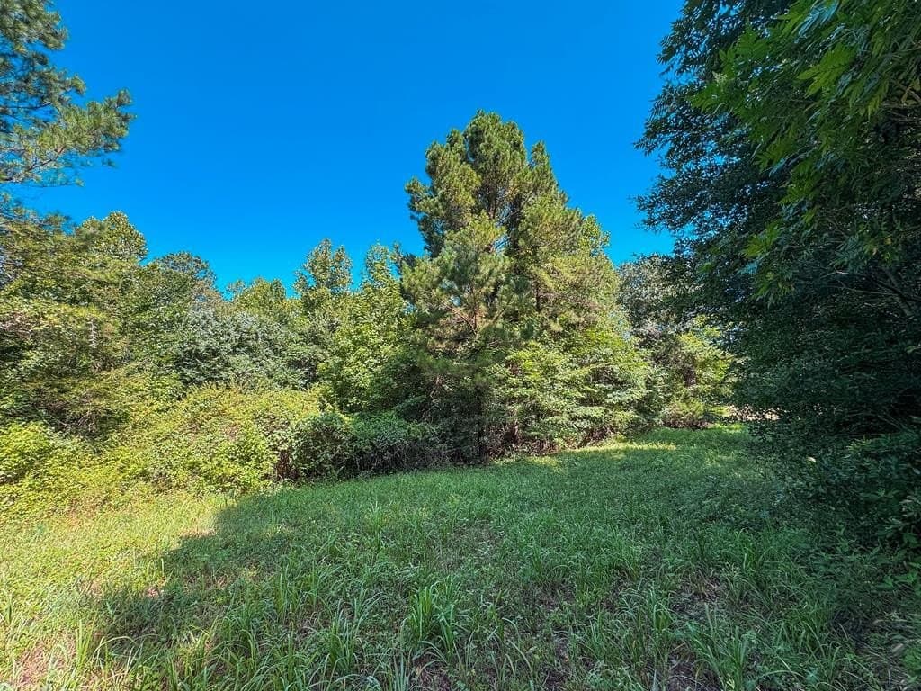 13.6 acres in ANDERSON County - photo 8