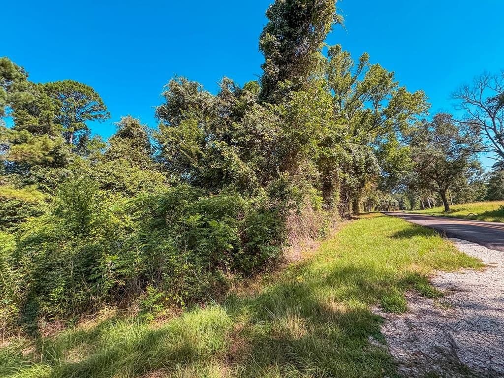 13.6 acres in ANDERSON County - photo 12