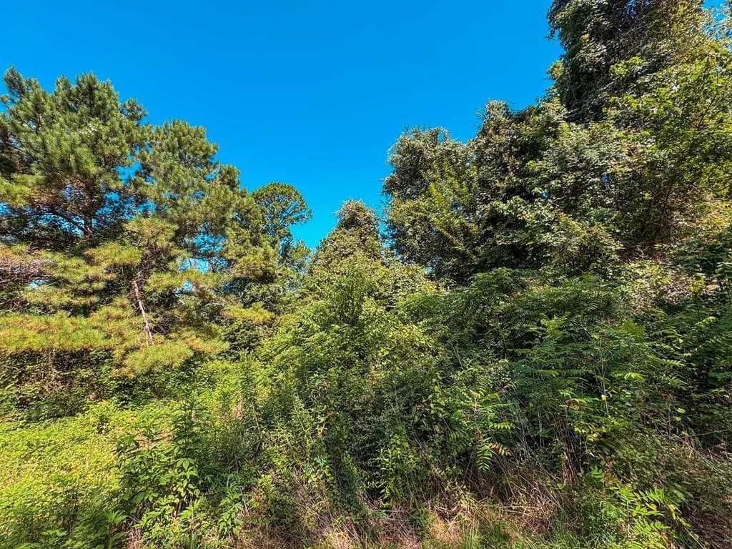 13.6 acres in ANDERSON County - photo 13
