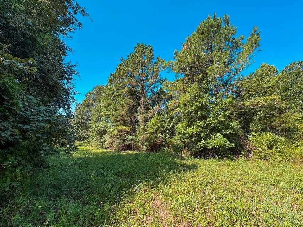 13.6 acres in ANDERSON County - photo 7