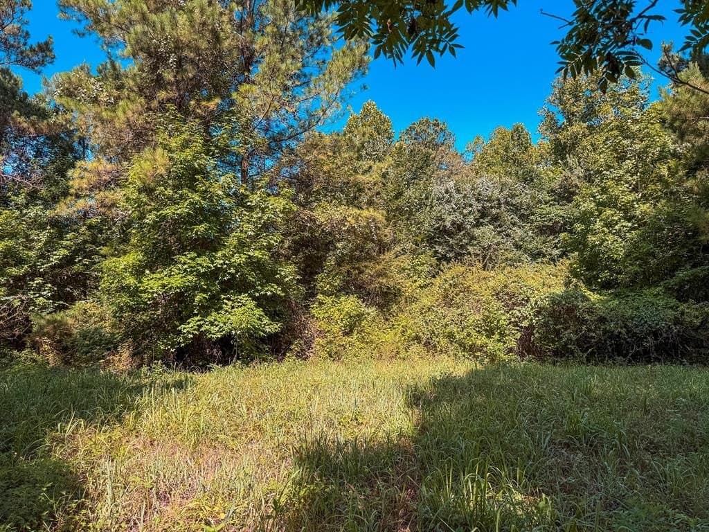 13.6 acres in ANDERSON County - photo 9