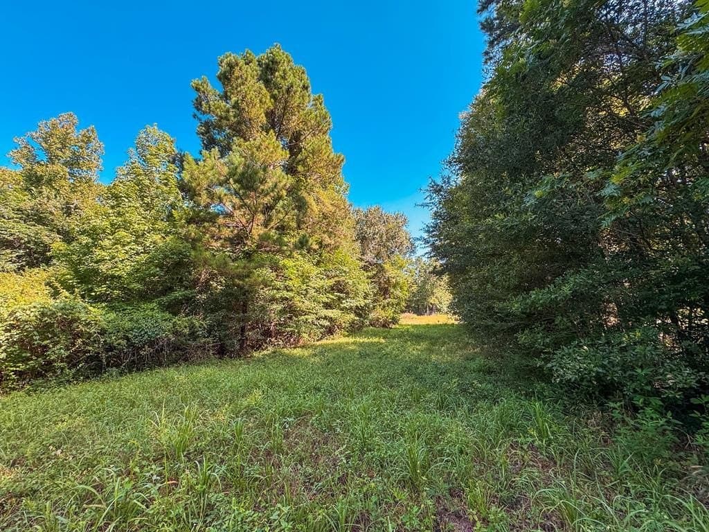 13.6 acres in ANDERSON County gallery image 3