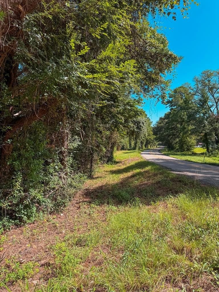 13.6 acres in ANDERSON County gallery image 4