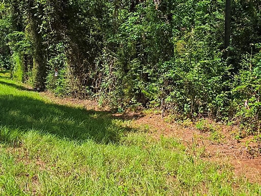 13.6 acres in ANDERSON County - photo 15