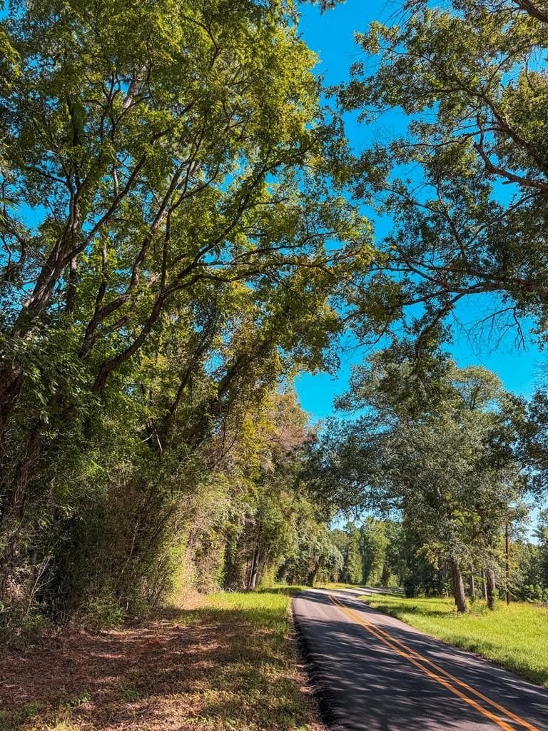 13.6 acres in ANDERSON County - photo 11