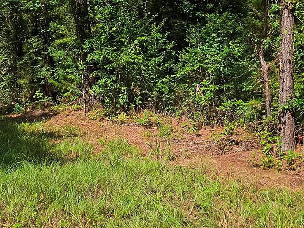 13.6 acres in ANDERSON County - photo 17