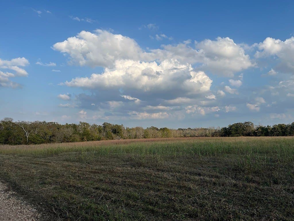 2 acres in Austin County gallery image 3
