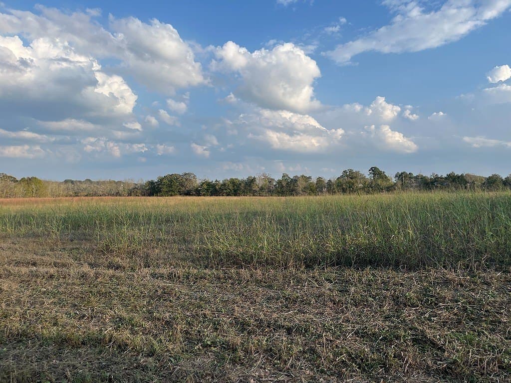 2 acres in Austin County