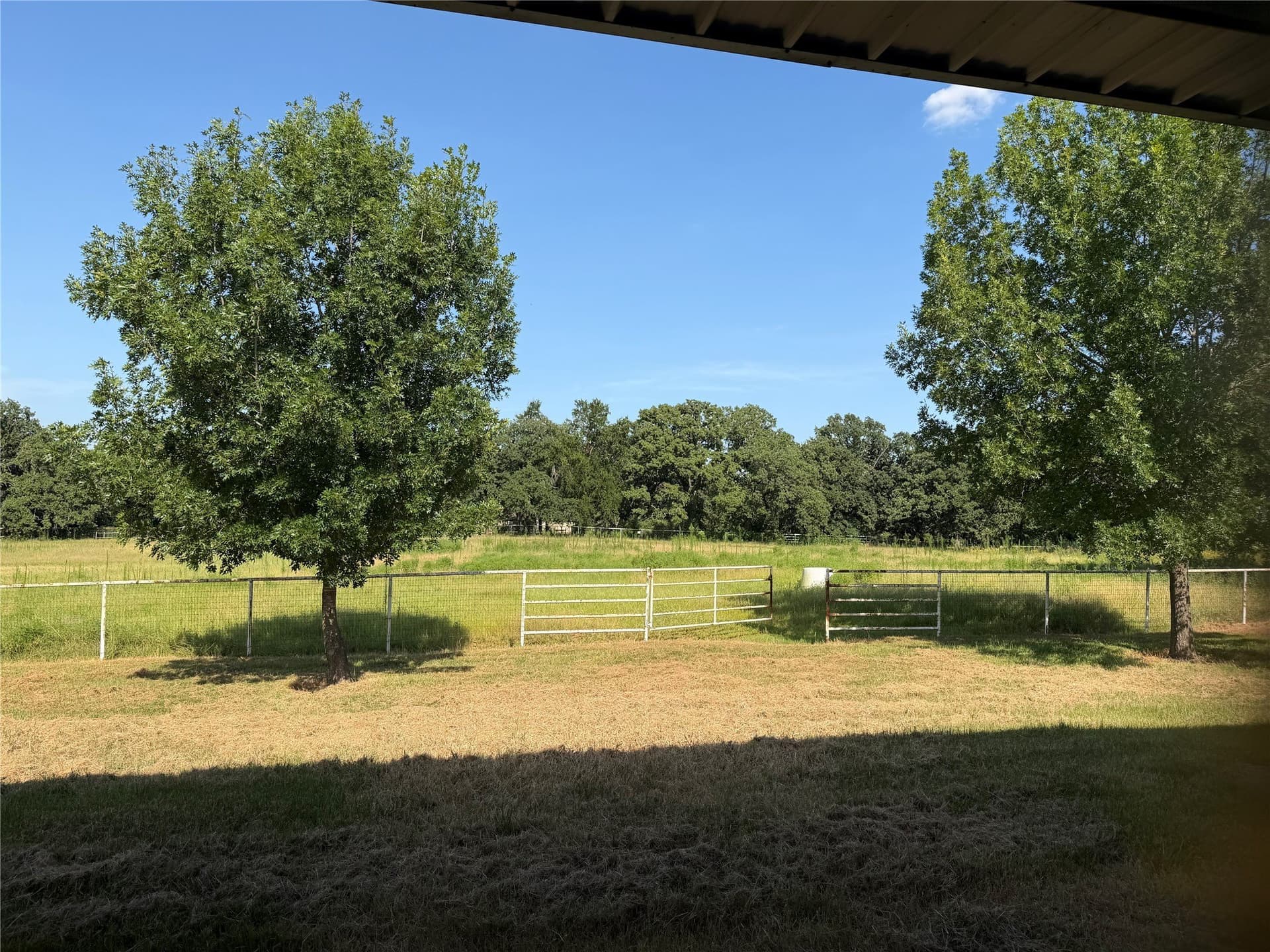 15.11 acres in Grayson County - photo 8