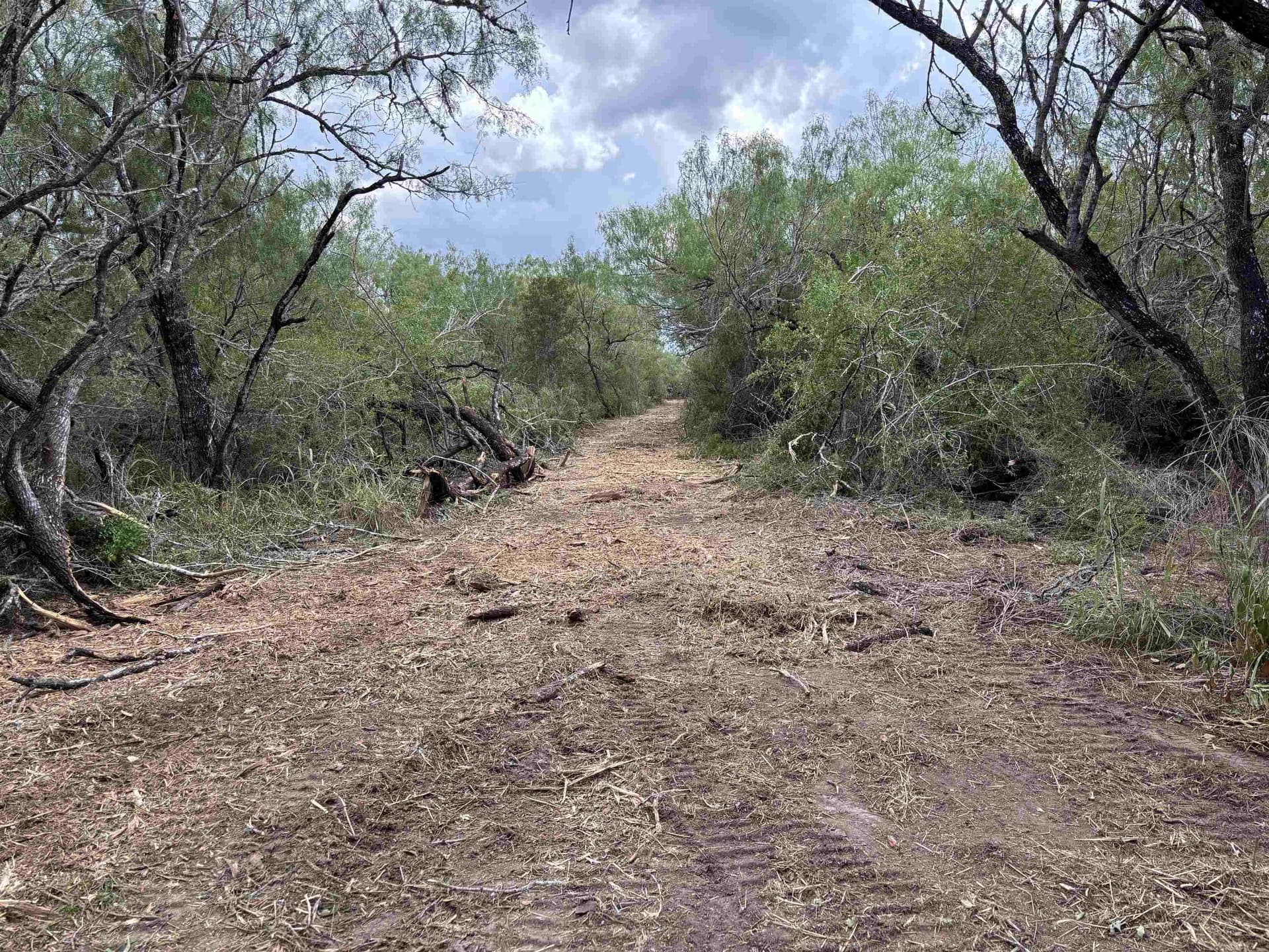 8 acres in JIM WELLS County gallery image 4