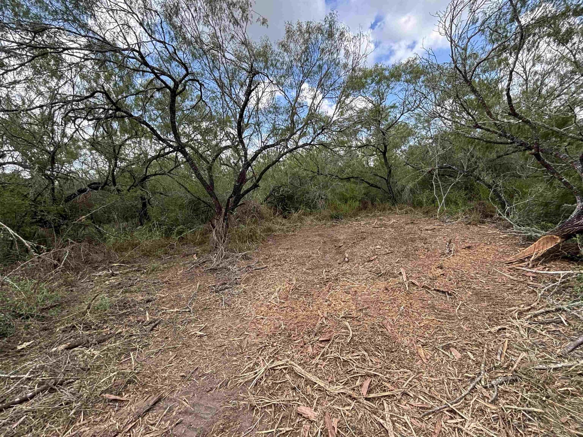 8 acres in JIM WELLS County featured view