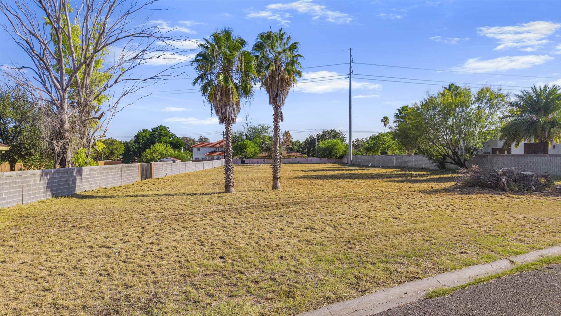 0.9 acres in WEBB County gallery image 4