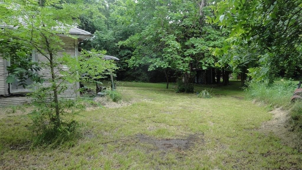 0.53 acres in Fannin County gallery image 4