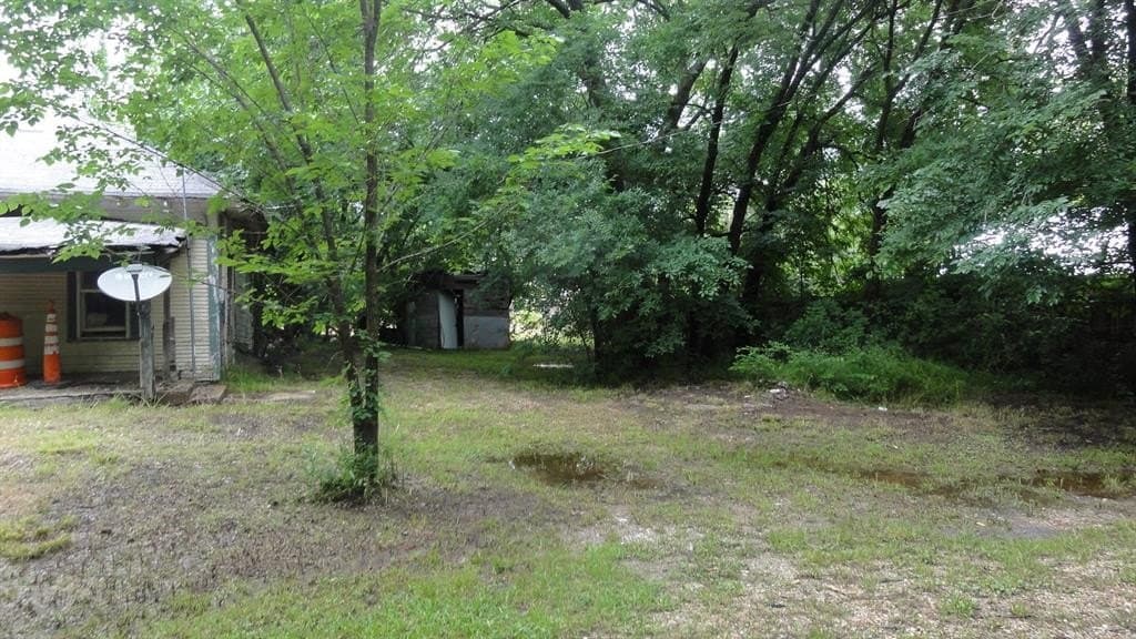 0.53 acres in Fannin County gallery image 3