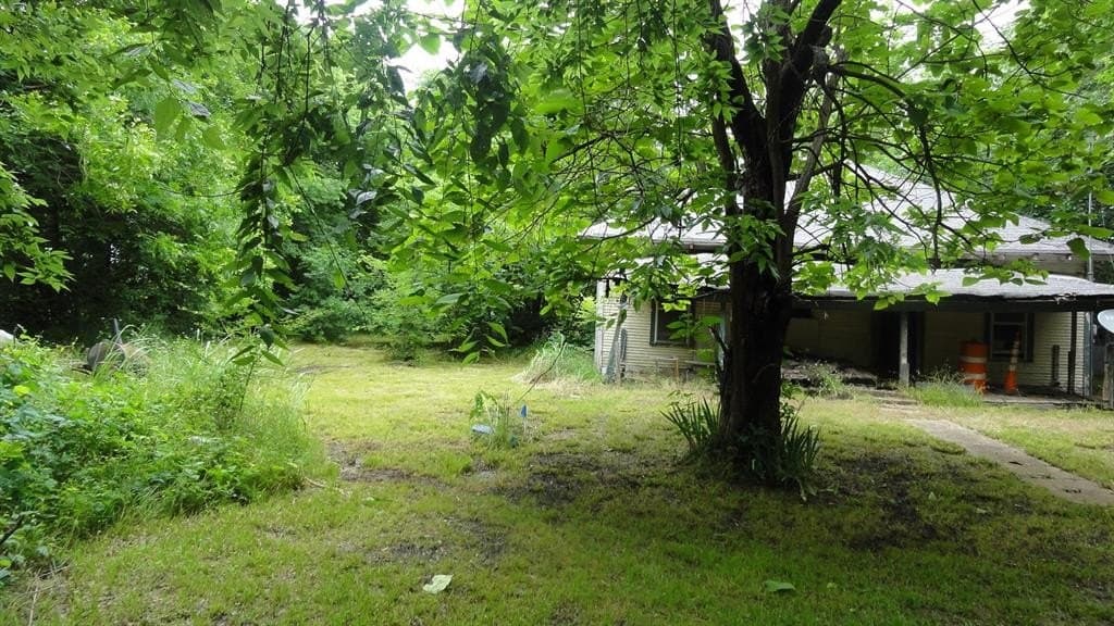 0.53 acres in Fannin County gallery image 2