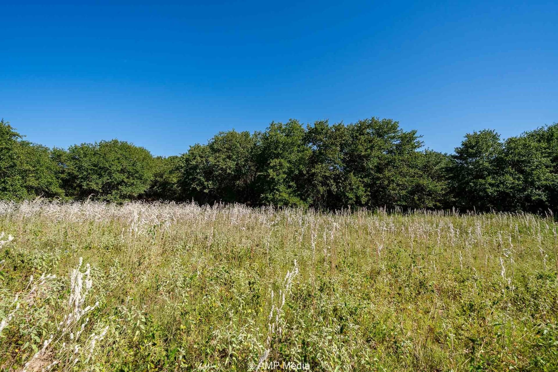 5 acres in Eastland County featured view