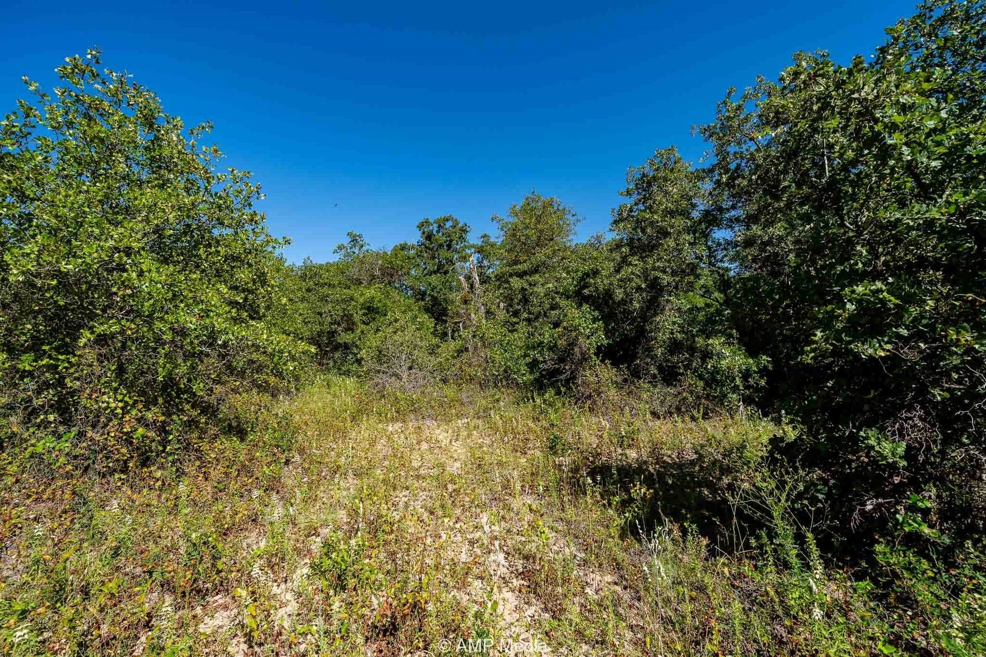 5 acres in Eastland County gallery image 2
