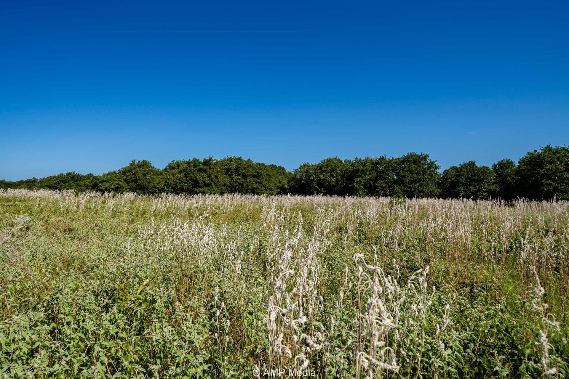 5 acres in Eastland County