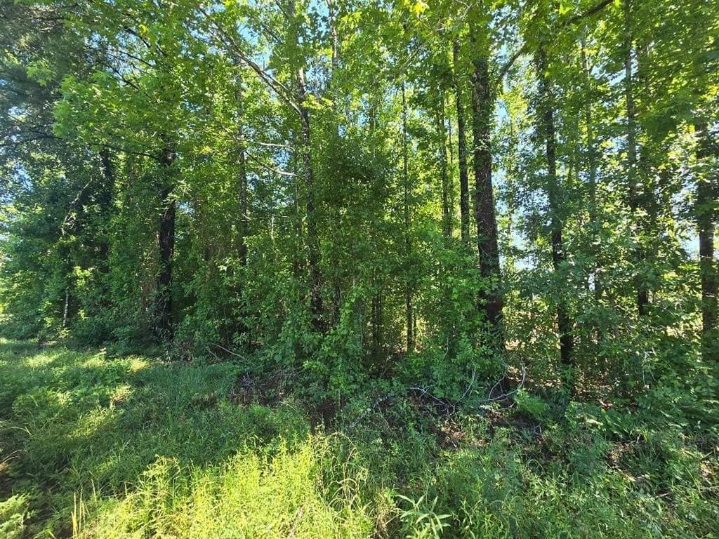 0.37 acres in Texas County