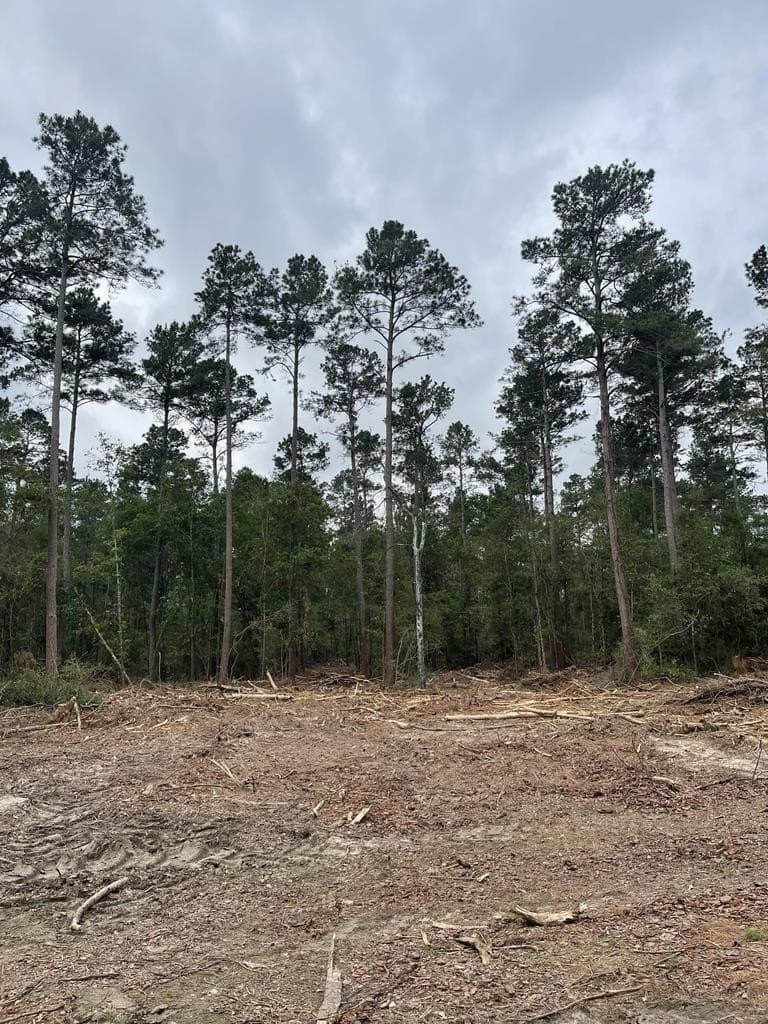 53.22 acres in Texas County gallery image 2