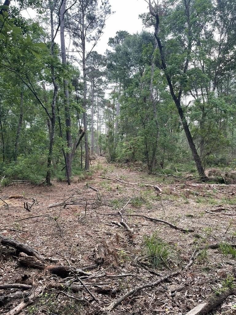 53.22 acres in Texas County