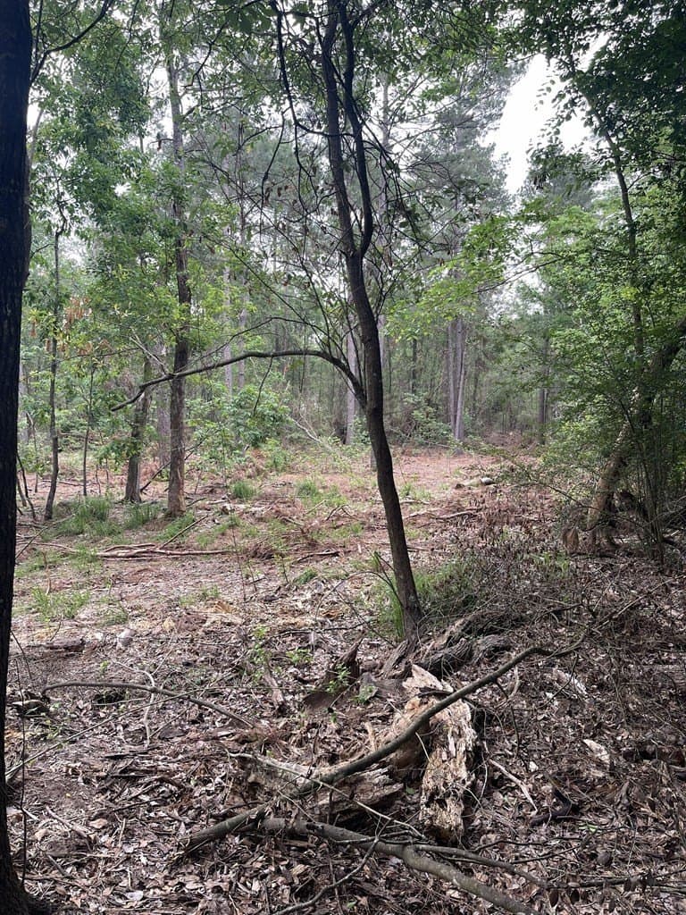 53.22 acres in Texas County gallery image 3