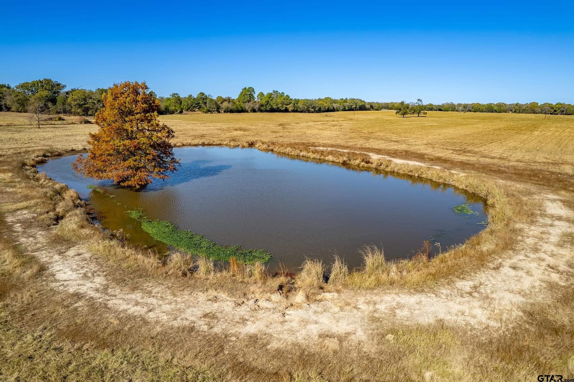105.95 acres in Van Zandt County featured view