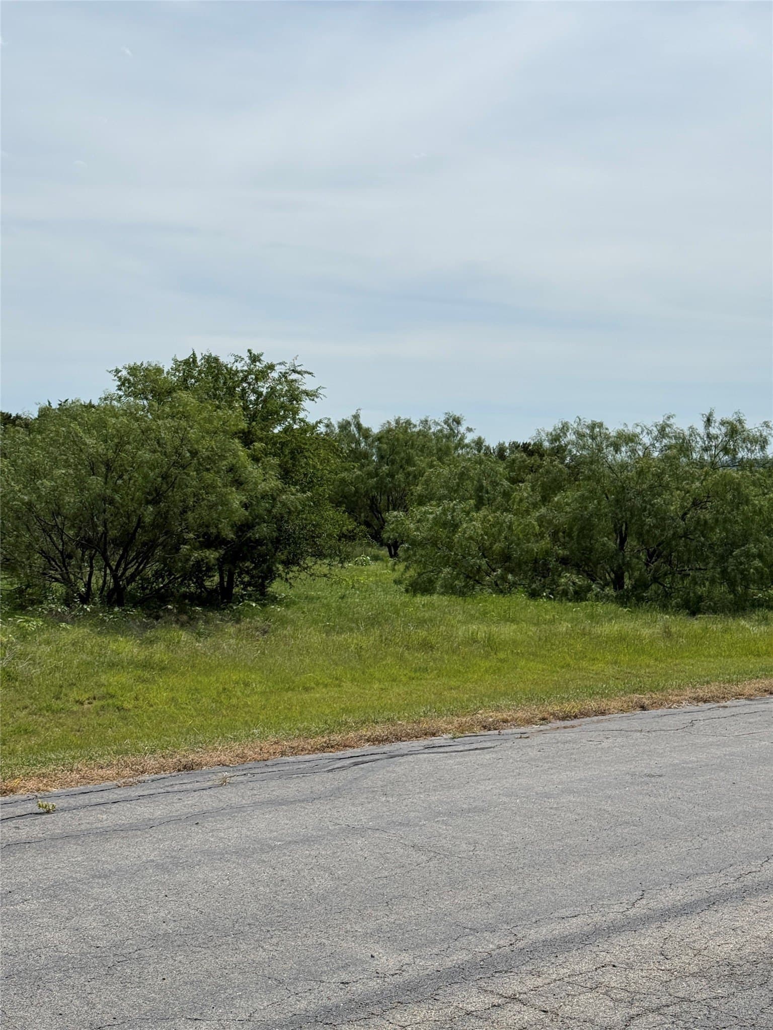 5.2 acres in Palo Pinto County - photo 8