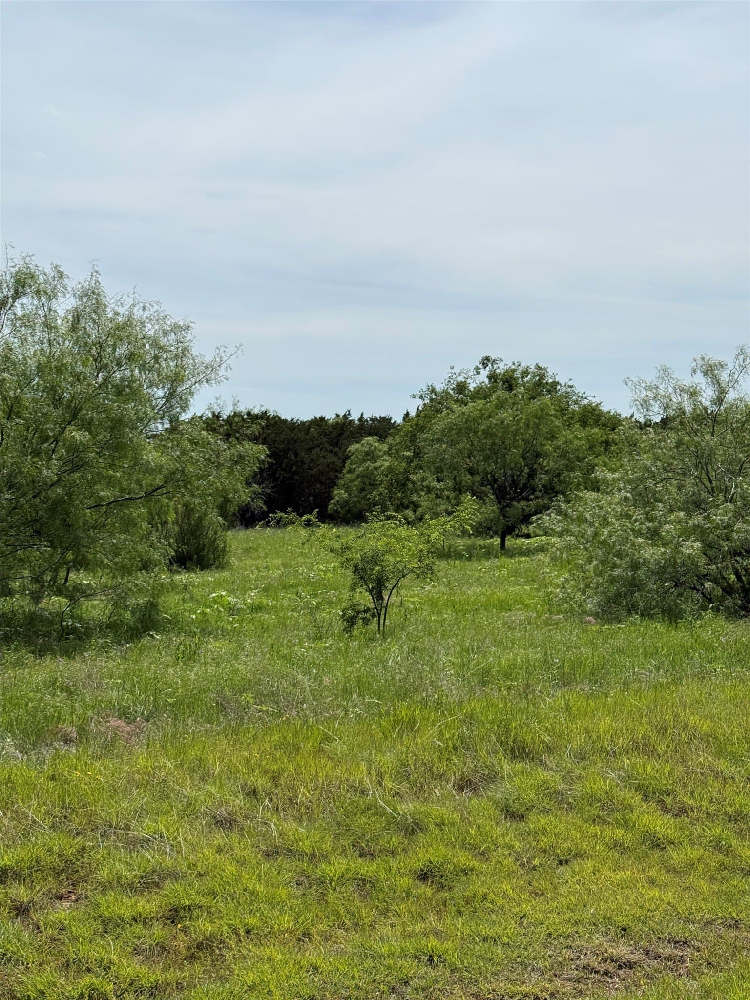 5.2 acres in Palo Pinto County - photo 6