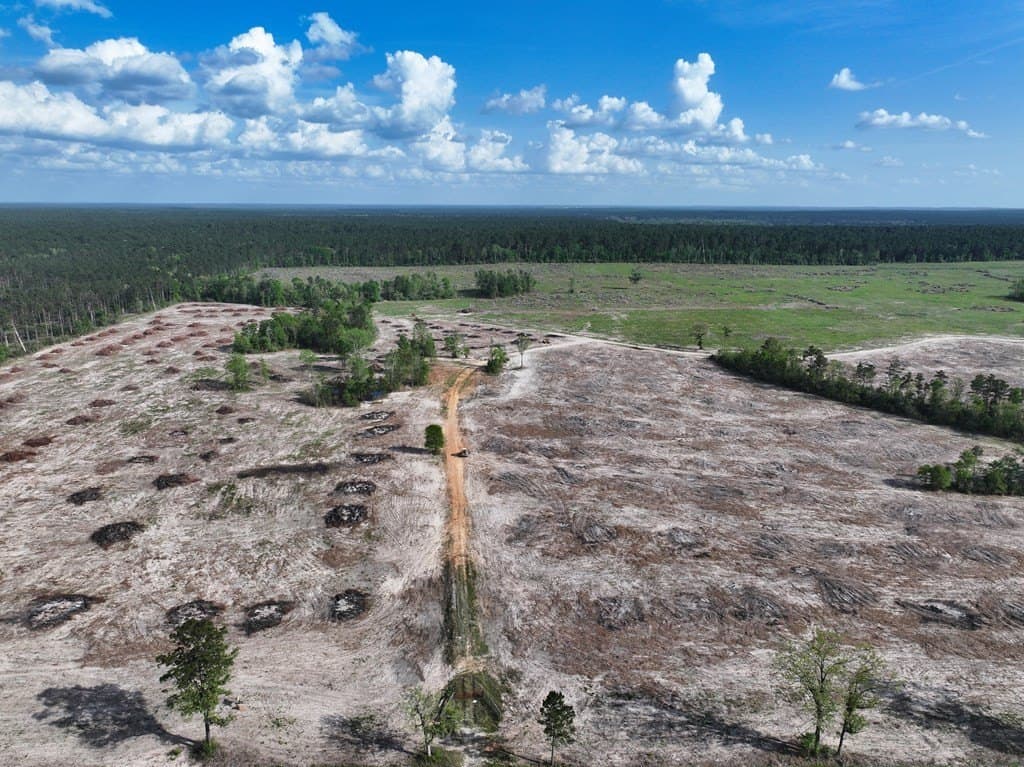 10 acres in Texas County - photo 13