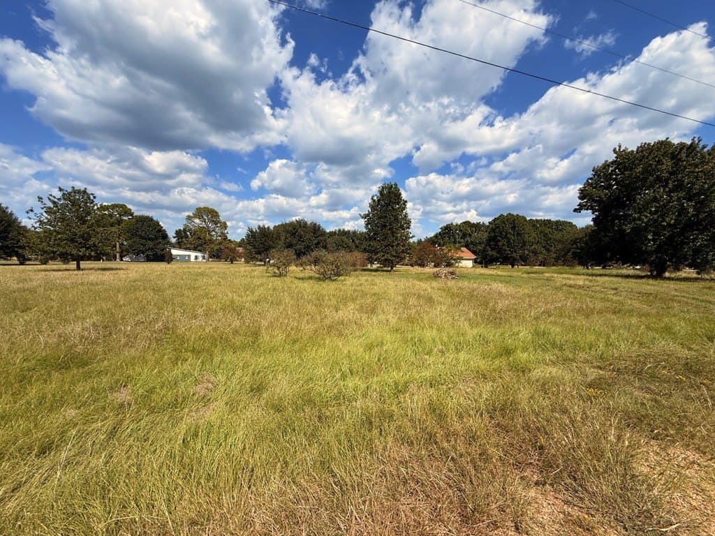 0.24 acres in Henderson County gallery image 3