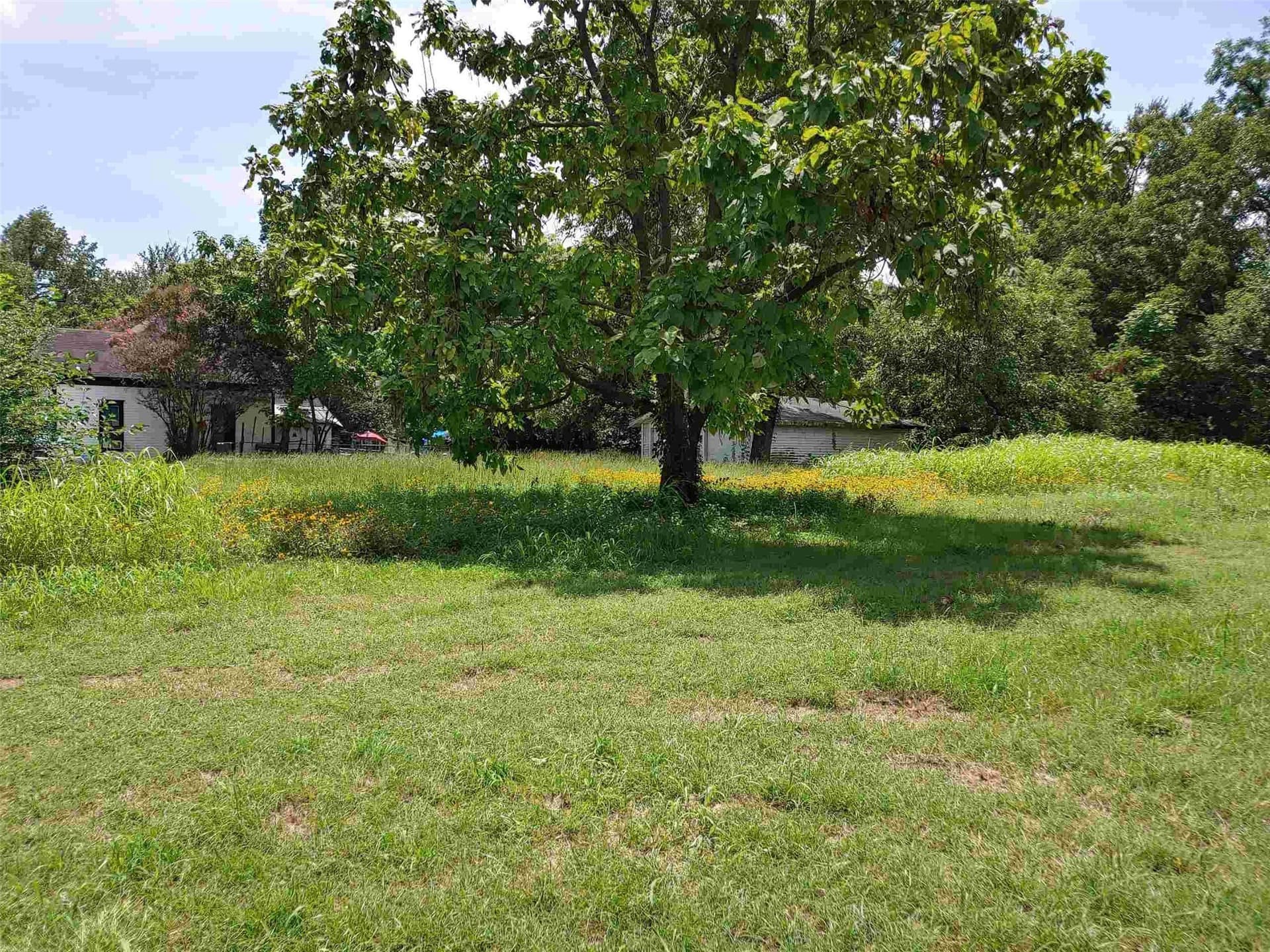 0.34 acres in Lamar County - photo 2